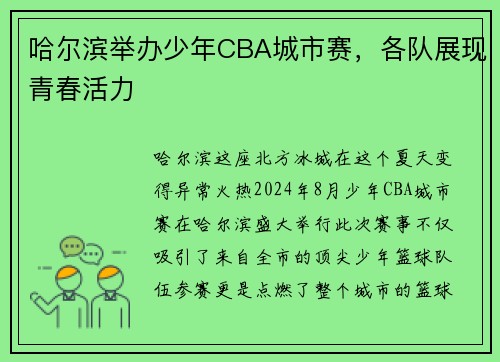 哈尔滨举办少年CBA城市赛，各队展现青春活力