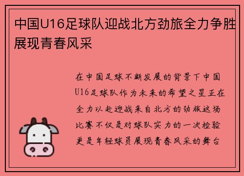 中国U16足球队迎战北方劲旅全力争胜展现青春风采